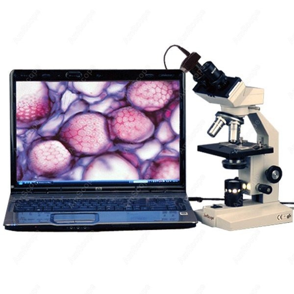 Amscope Microscope Compound 40X-1000X - Microscópio Biológico Binocular AmScope Série B100