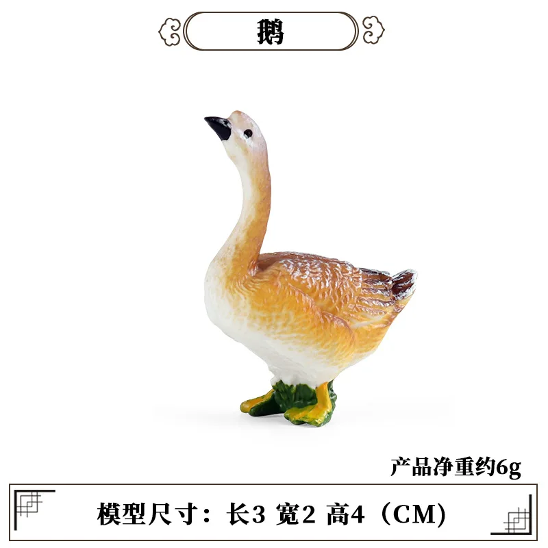 Science Toy - Educação ferramenta de ensino aves animal
