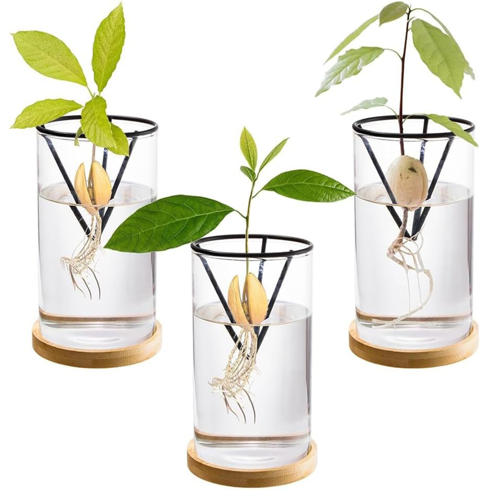 1 conjunto de kits de cultivo  - Crystal Growing Kit avaliação e preço