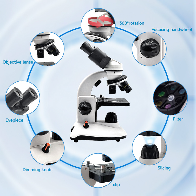 Microscópio binocular composto - Microscope Compound 40X avaliação e preço