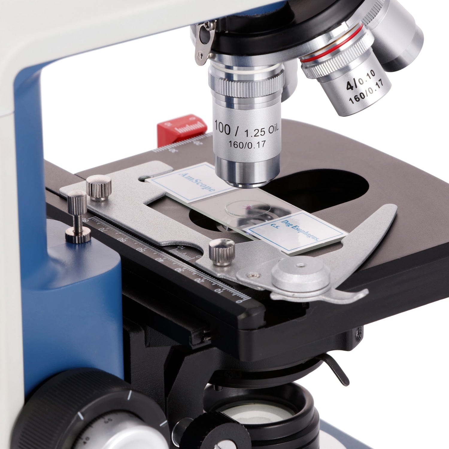 Microscópio Binocular Composto - Microscope Compound 40X avaliação e preço