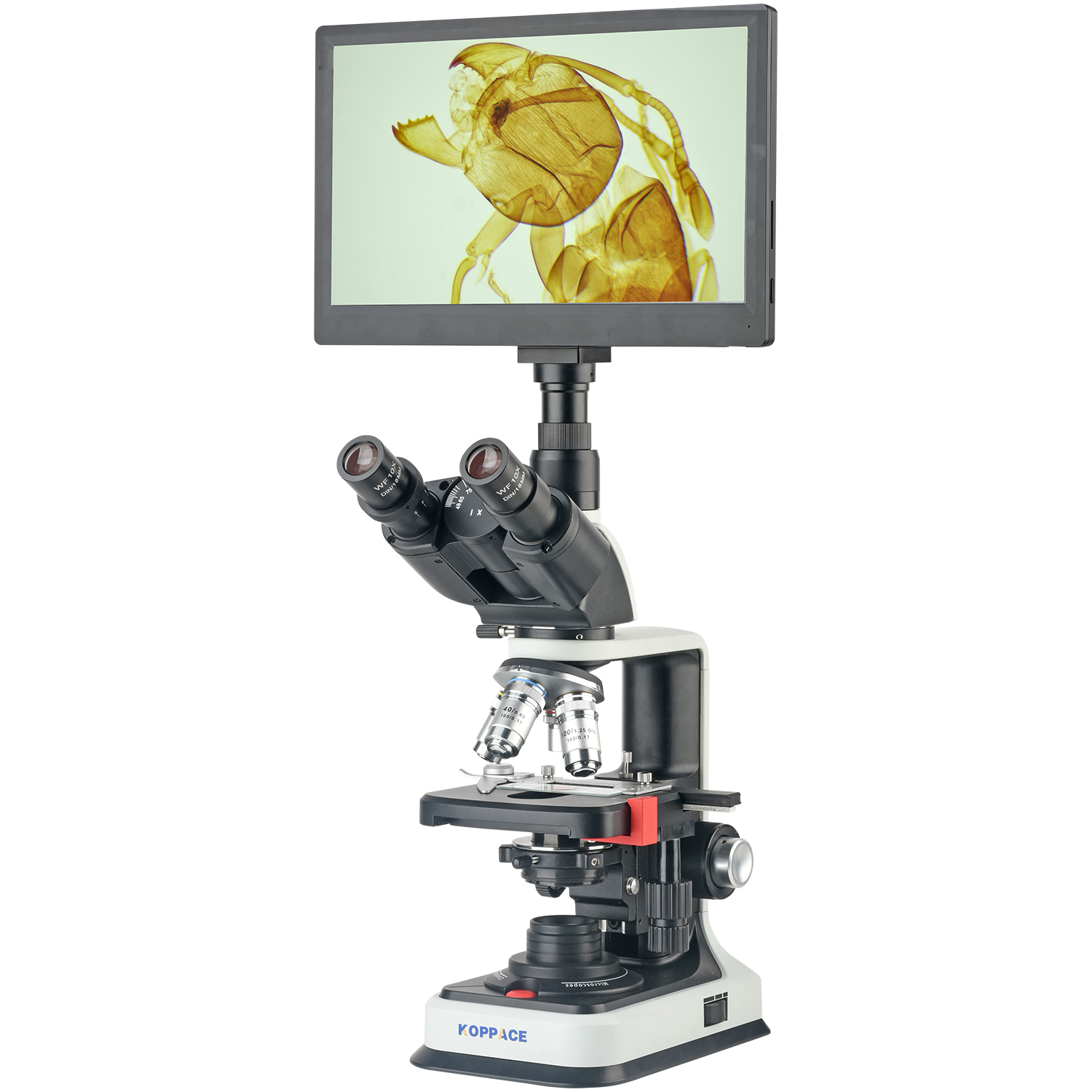 Microscópio Eletrônico de Labo - Microscope Compound 40X avaliação e preço