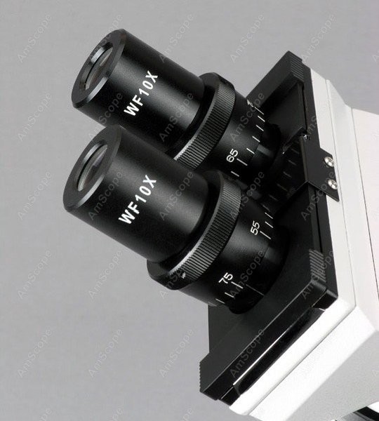Microscópio Biológico Binocula - Amscope Microscope Compound 40X-1000X avaliação e preço