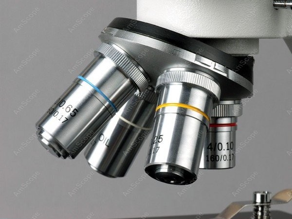Microscópio Biológico Binocula - Amscope Microscope Compound 40X-1000X avaliação e preço