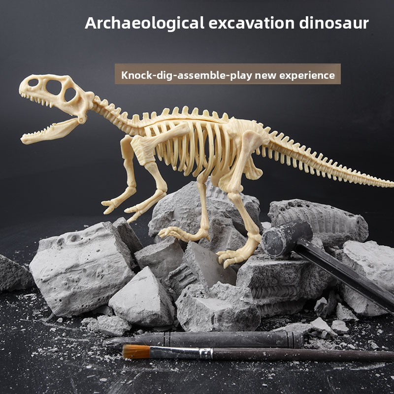 Kit de Escavação de Fósseis de - Science Toy avaliação e preço